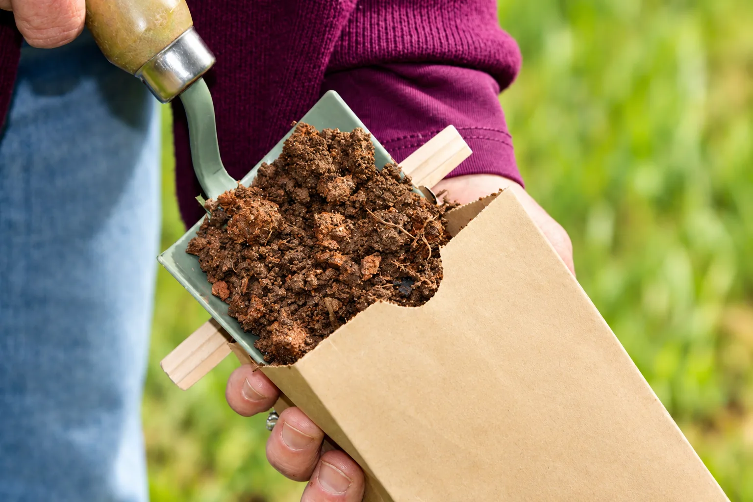 Toma de una muestra de suelo agrícola en un sobre